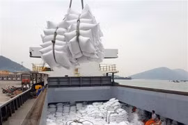 Firms to get help to expand rice export markets