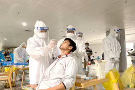 Transport workers most impacted by COVID-19 pandemic: survey