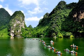 Forum seeks ways to recover domestic tourism amid COVID-19 