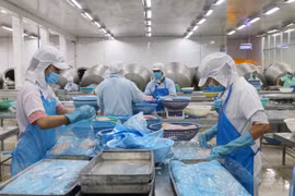 Vietnam’s agro-forestry-aquatic product exports to surpass goal