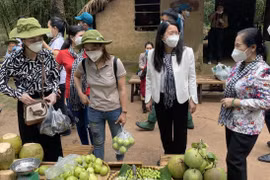 HCM City pilots reopening of tourism with historical tours