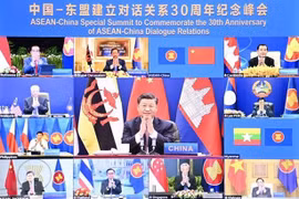 Vietnam contributes to success of ASEAN - China special summit: official