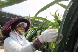 Agriculture, aquaculture firms focus on growing their own raw materials