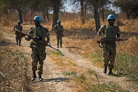 Vietnam calls on Sudan, South Sudan to exert stronger efforts in dealing with Abyei issue