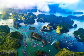 Vietnam plans return of tourism and hospitality after COVID-19