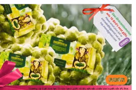 Vietnam exports 22 tonnes of frozen Indochina Dragonplum fruit to Australia