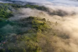 USAID launches environmental conservation projects in Vietnam