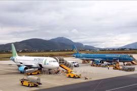 Aviation authority sets up COVID-19 hotline