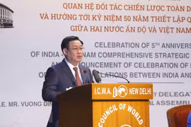 Fifth anniversary of Vietnam-India comprehensive strategic partnership marked