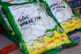  28 tonnes of fresh bamboo shoots exported to Netherlands