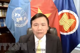 Vietnam voices concerns over escalating violence in Yemen