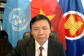 Vietnam concerned about recent developments in Somalia