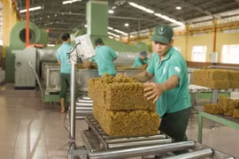 Rubber group looks to boost industrial zone development