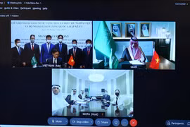 Vietnamese, Saudi Arabian foreign ministries sign MoU on political consultation