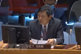UNSC: Vietnam calls for goodwill dialogues for GERD-related issues 