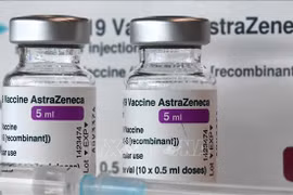 Vietnam receives 852,480 AstraZeneca vaccine doses granted by Germany via COVAX