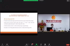 Webinar seeks measures to support Vietnam’s vocational education 