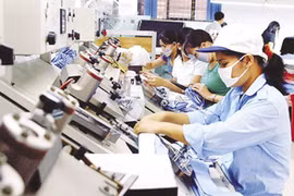 Private businesses in Vietnam: increases in both quantity, quality