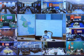 Deputy PM urges Mekong Delta localities to raise guard against COVID-19