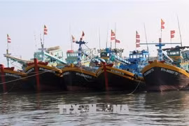 Binh Thuan province makes progress in fighting IUU fishing