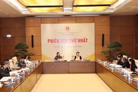 Sub-committee considers number, structure of deputies of 15th legislature