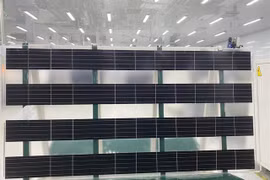 Locally made Agri-PV product introduced