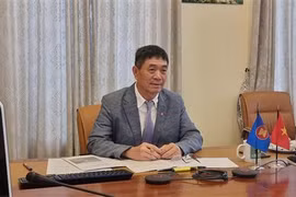 Vietnam attends 5th meeting of ASEAN-Germany DPC
