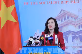 Foreign Ministry spokesperson comments on international issues