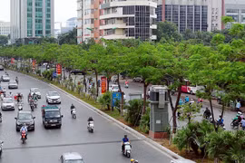 PM gives green light to 1-billion-tree growing project