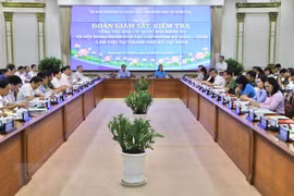 Ho Chi Minh City’s preparations for elections examined 