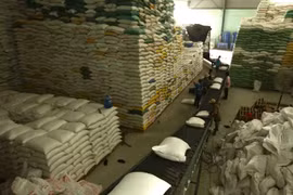 Rice exports enjoy opportunities for breakthrough in 2021