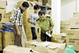 HCM City, southern provinces step up efforts against fake goods