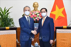 Vietnam, RoK look to beef up comprehensive cooperation 