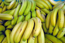 Cambodia exports over 200,000 tonnes of bananas in five months
