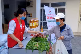 Vietnam Red Cross calls for donations to people affected by COVID-19