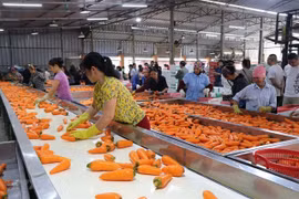 Agriculture sector needs to develop raw materials: experts