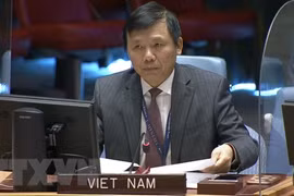 Vietnamese ambassador urges end to all military actions in Yemen