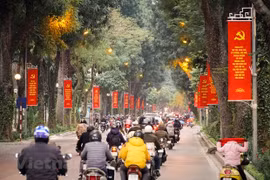 Hanoi gets facelift ahead of 13th National Party Congress