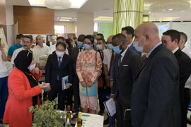 Vietnam shares entrepreneurship experience with Algeria