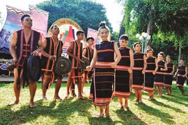 Outstanding achievements made in gender equality among ethnic minorities: Report