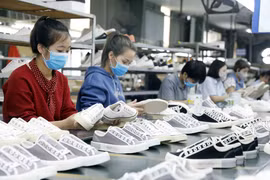 Vietnam's footwear industry sees robust growth despite COVID-19 pandemic