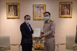 Vietnam, Thailand enhance collaboration in health amidst COVID-19