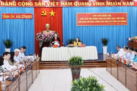 NA Chairwoman works with An Giang on election preparations