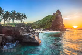 Solutions sought to promote sustainable growth of Ly Son island