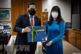 Vietnamese ambassador presents credentials to Surinamese FM