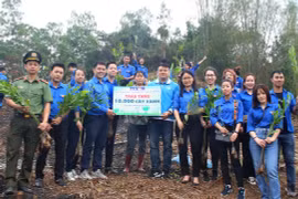 Report on youth action for climate change in Vietnam debuts
