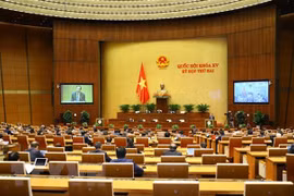 NA deputies debate laws, anti-corruption 