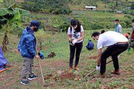 Israeli Embassy presents over 22,000 plants to farmers in Hoa Binh