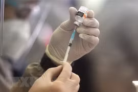 ASEAN, EU hold dialogue on COVID-19 vaccines