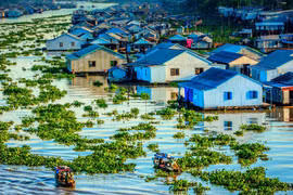 Mekong Delta urgently needs climate change data: Conference